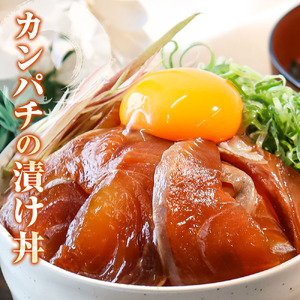 訳あり海鮮漬け丼（タイ6P・カンパチ4P）セット 漬け丼 漬け 鯛 かんぱち 勘八 白身魚 食べ比べ 海鮮 魚 冷凍 食品 保存食 小分け 高知 土佐 海鮮丼 漬け丼【企業組合　宇佐もん工房】 [BQAB028]