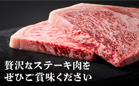 佐賀牛サーロインステーキ300g HCS013 ステーキ 牛肉