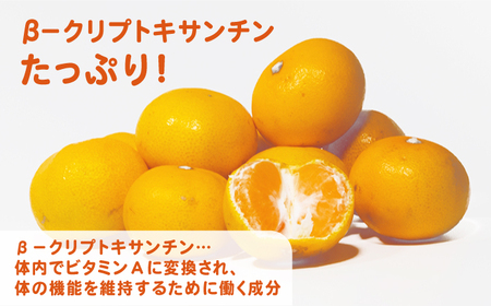 【全3回定期便】さがみかん100　総計18本（1L×6本）【JAさが 杵島支所】[HAM040]果汁100% 濃縮還元 みかんジュース 
