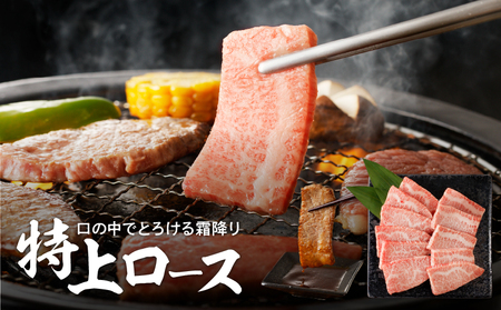 【 鹿児島 黒毛和牛 A4 ～ A5 】 焼肉 特上 セット ( 特上カルビ / 特上ロース ) K189-007 肉 牛肉 冷凍