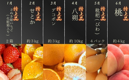 【数量限定！】旬の見極めこの一品！プレミアム等級選果の12ヶ月連続単品定期便♪ 苺 せとか 葡萄 蜜柑 びわ 桃 梨 柿 