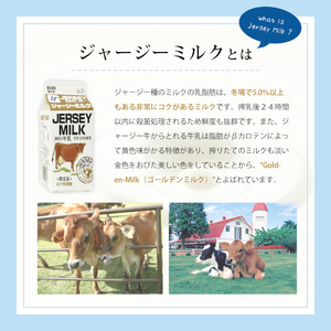 共進牧場 ジャージーミルクアイスクリーム 3種12個 スイーツ アイス 濃厚 兵庫県 小野市 お菓子 デザート 希少 風味 コク 鮮度 牛乳 搾りたて 美味しい 