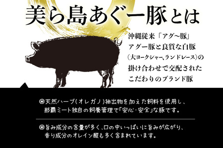ハンバーグ 16個 セット あぐー 豚肉 61-4