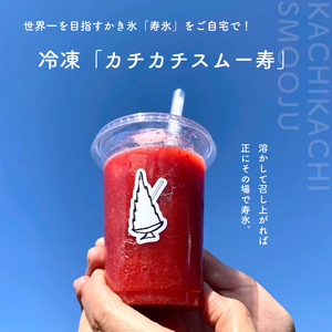 【先行予約】寿氷 夏の カチカチ シックス 6種類 食べ比べ セット スモール 真岡市 栃木県