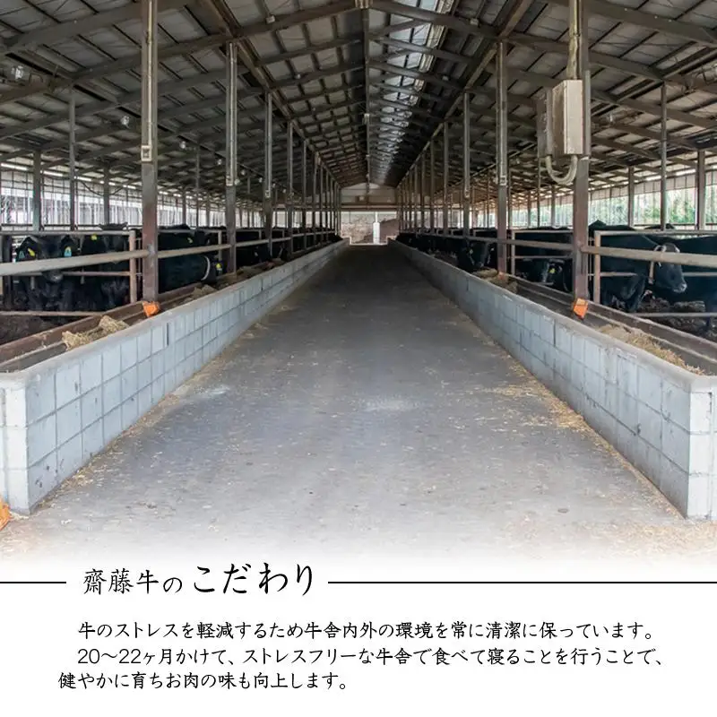 黒毛和牛「宮崎和牛 齋藤牛」切り落とし1.2kg（400g×3）小分け 国産牛肉＜5-9a＞