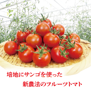 珊瑚トマト　3kg【野菜 トマト とまと ミニトマト みにとまと フルーツトマト 新鮮 リコピン ビタミン】（AX201）