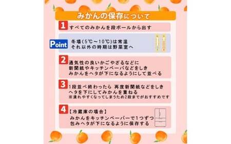 【2027年2月頃から順次発送】【甘平】約2.8ｋｇ（ご家庭用） みかん ブランド 柑橘 フルーツ 果物 愛媛 松山【PT037_x】