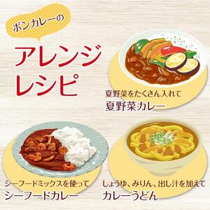 【隔月定期便全6回】ボンカレーゴールド（甘口）30個×6回　計180個