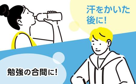 【定期便全10回】マッチ MATCH 500ml ×24本 計240本 炭酸飲料 微炭酸 ビタミン炭酸 炭酸 ソーダ―