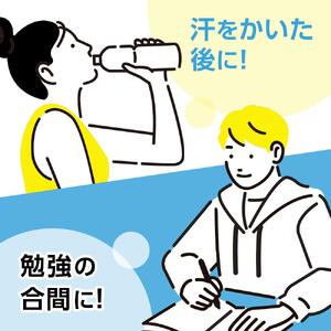 【定期便全11回】マッチ MATCH 500ml×24本 計264本 炭酸飲料 微炭酸 ビタミン炭酸 炭酸 ソーダ―