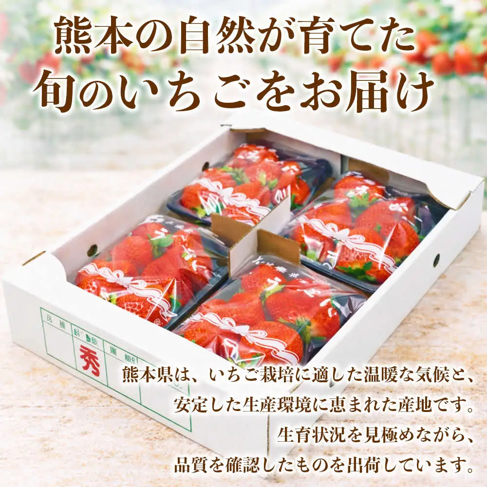 【先行予約】 いちご 約1kg（約250g×4パック） イチゴ 苺 【2027年1月上旬より順次発送】