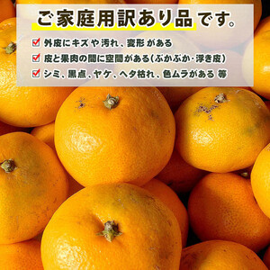 小玉みかん 訳あり 小玉 みかん 8kg 中井屋 【 訳あり みかん 】 B010-173002