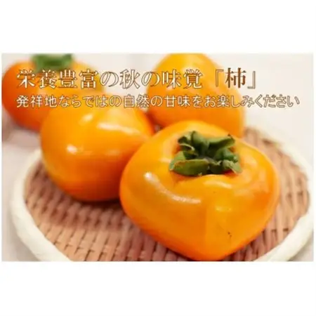 【R8年10月以降発送】刀根早生柿発祥の地※より「たねなし柿」L~2L(1段箱16～18玉)_果物・フルーツ 柿（カキ）  かき_【配送不可地域：離島】【1434467】