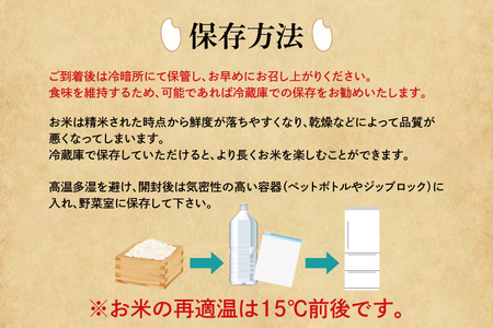 【精米】 食べ比べ 10kg こしひかり ミルキークイーン 令和7年産 精米 白米