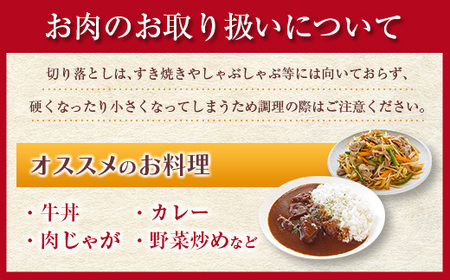 鹿児島県産 黒毛和牛 切落し 900g K002-049 肉 牛肉 冷凍