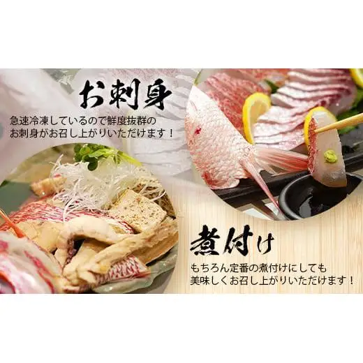 【予約受付】高級ブランド魚 尖閣赤マチ 1尾 約1kg 下処理済　 GK-3