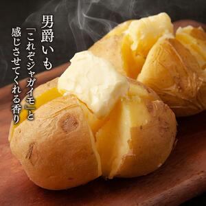 【先行予約】＜旭川秋の味覚＞男爵いも・玉ねぎ・かぼちゃ　合計10kgセット（2026年10月上旬から発送開始）| 玉ねぎ