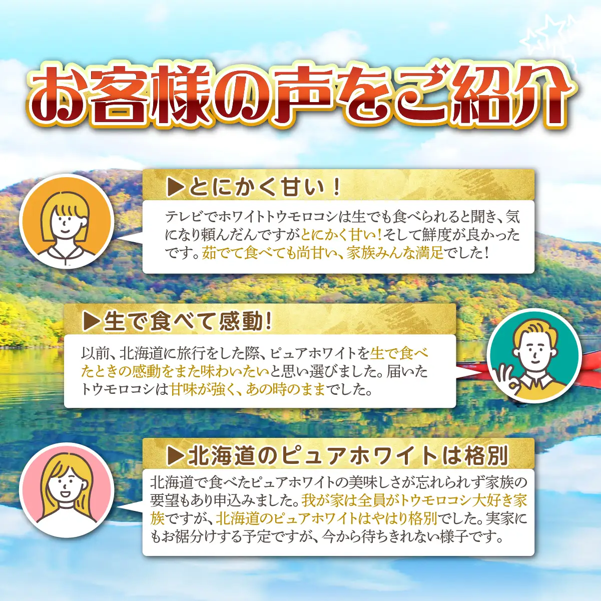 ＜2026年8月下旬よりお届け＞【朝採り】北海道壮瞥産 白いとうもろこし「雪の妖精」Lサイズ12本(約4kg) SBTQ001