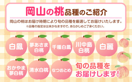 桃 約1.5kg 亀川農園 【配送不可地域あり】