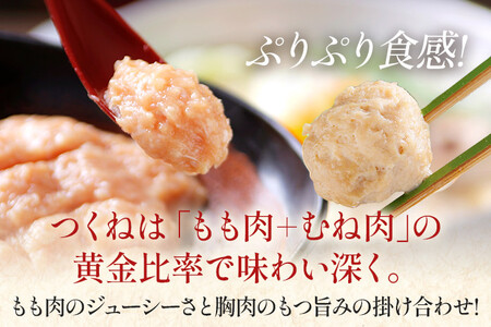 水炊き 4～5人前 セット 博多若杉 