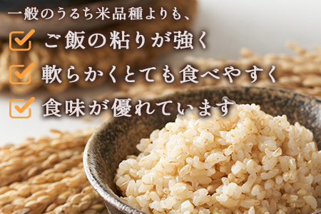 【令和7年産 玄米 】 多良木町産 『くまさんの輝き』 30kg 10月中旬～発送 玄米 熊本県 たらぎ お米 米 艶 粘り 甘み うま味 やわらか 熊本のお米 30キロ 044-0598