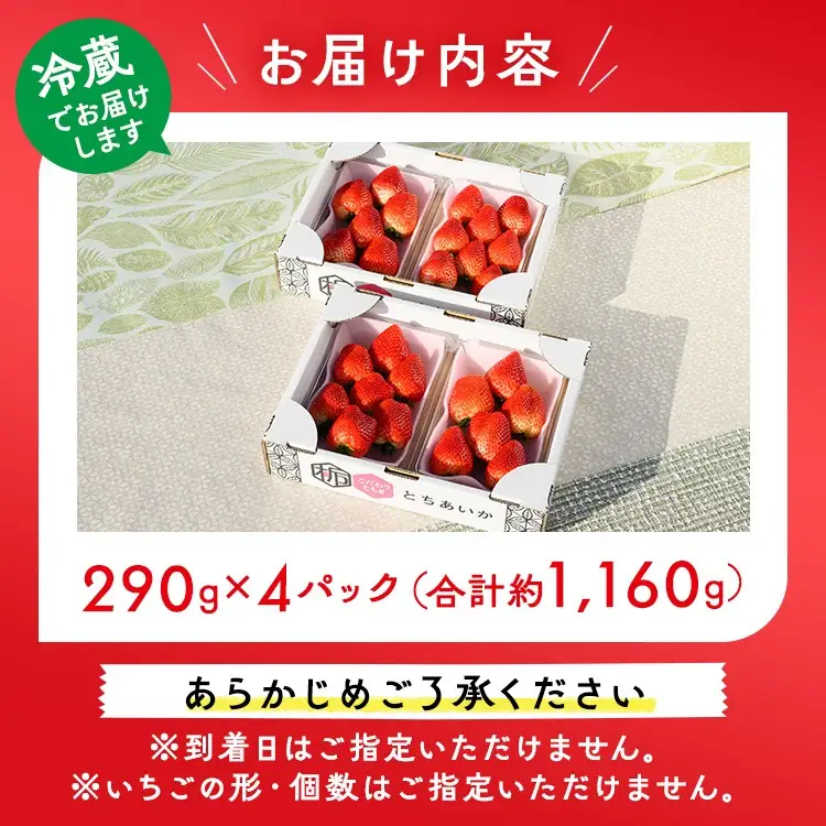 いちご（とちあいか） 290g×4パック 1.16kg以上 ｜  ※2026年11月～発送