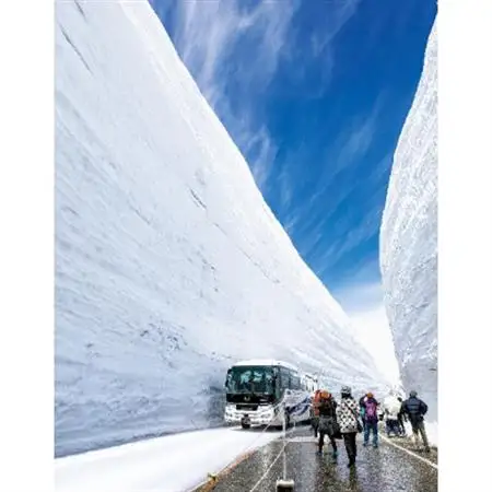 立山黒部アルペンルート　立山駅～室堂(往復)乗車券_旅行券・チケット   _【1237645】