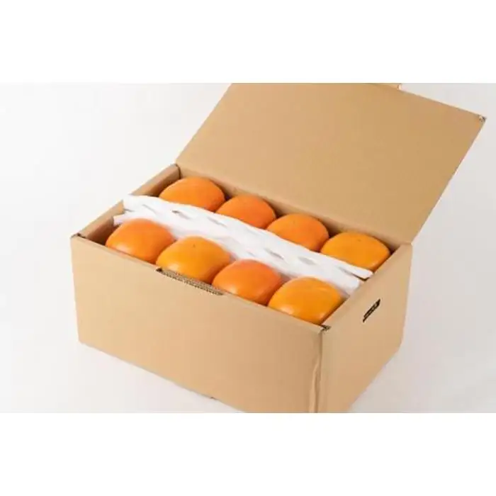 生渋柿たね無 あんぽ柿用T軸枝無約14.5～15kg　約60～90個＜2026年10月中旬～11月上旬ごろ順次発送＞【ART15】