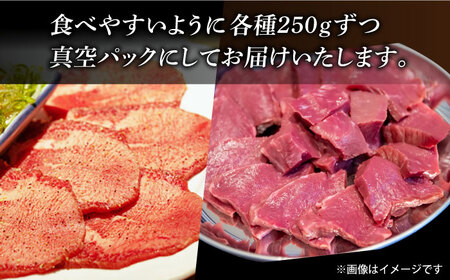 【塩だれ牛タン】九州産和牛1kg！牛タン・ハツ（各約250g×2袋） [EAX128] 牛タン 長与町