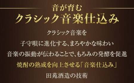 JSR-806 【定期便】音楽仕込み 麦焼酎 田苑 金ラベル 1800ml 計18本（6本×3か月） 25度 田苑酒造