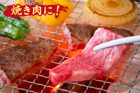 【スピード発送】【4回定期便】佐賀牛 ふたりで贅沢 お楽しみ便(合計1.9kg)(H085149)