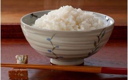 こしひかり 10kg 令和7年産 こしひかり 石川県 小松産 JA小松市
