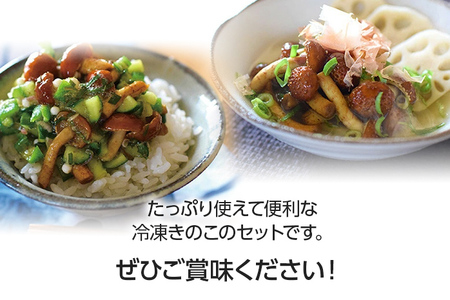 冷凍きのこセット250g×4（博多すぎたけ・しめじ・えのき・エリンギ）　AU07