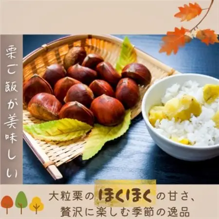 2026年産!大粒生栗 先行予約受付中 かすみがうら市産　生栗　3Lサイズ 3kg_栗 クリ かすみがうら市産 大粒 先行受付_【配送不可地域：離島】【1437717】