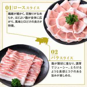 【B05046】鹿児島県産豚ロース・豚バラスライスセット(合計約3kg・各約300g×10パック) 鹿児島   豚肉 お肉 豚バラ スライス しゃぶしゃぶ 野菜炒め 生姜焼き【大将食品】