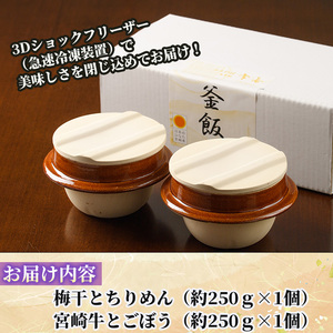 料亭の釜めし・極＜宮崎牛と牛蒡＞＜梅干しとちりめん＞(2種各1個)釜飯 惣菜 時短 お取り寄せ グルメ 詰め合わせ セット 冷凍【TW-3】【魚甚閣 常若】