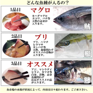 魚かつ自家製　山口の海鮮漬け丼(はまち、ひらまさ、マグロ系等)3種×各2パック入 酒の肴に海鮮丼に茶漬けに飯ともに