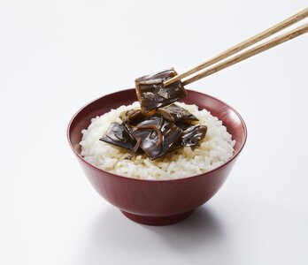 わかめ 5袋 海鮮 海藻 魚貝類 魚介類 小分け みそ汁 スープ 岩手県 大船渡市