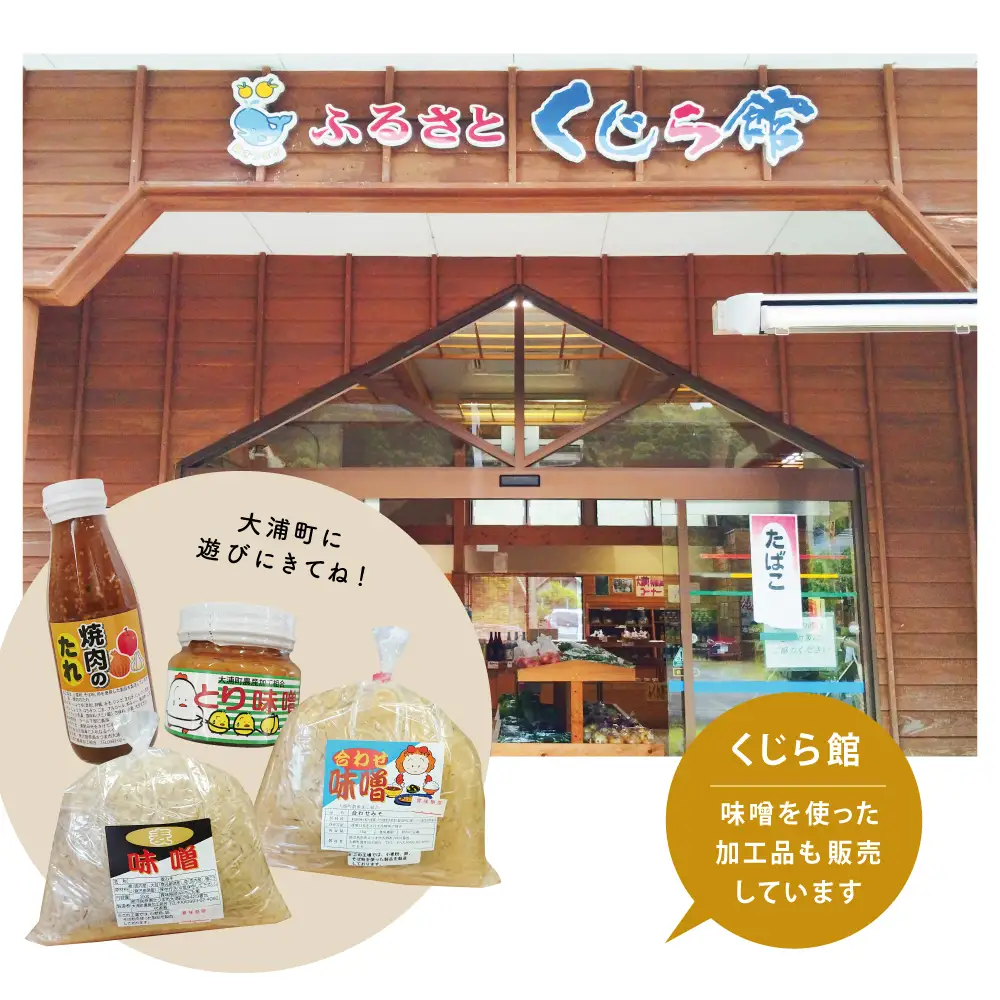 手作りめんつゆ ストレートタイプ 500ml×6本 【大浦町農産加工組合 】 麺 そうめん そば 蕎麦 うどん 天つゆ 煮物 ストレート 調味料 かつお節 鰹 昆布 だし 常温 加工食品 南さつま市