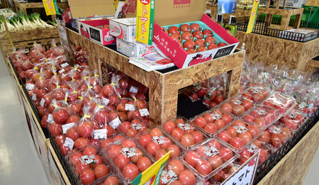 長生（ながいき）とまと１箱（20～24個（約4kg））　先行予約