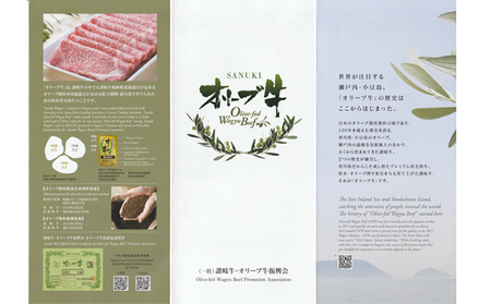 香川県産　オリーブ牛、豚　1kg　定期便（7月～12月） お肉 焼肉用 スライス用 しゃぶしゃぶ用 切り落とし すき焼き用 