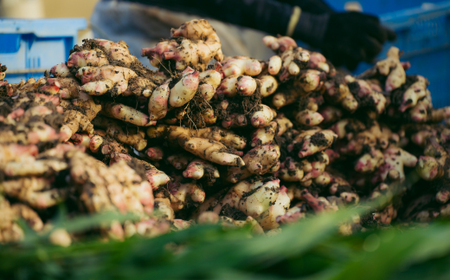【 山﨑生姜農園 】 生姜農家 が作った 至高の 生姜ジャム 万能 調味料 生姜焼き 生姜 しょうが ショウガ ジンジャー ジャム 濃厚 きび糖 加工品 食品 高知県 高知 四万十市 四万十 しまんと 26-326