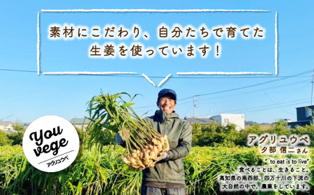 生姜好きさんにオススメ！ 濃厚 しょうがシロップ 2本セット【あまくち】国産 生姜シロップ 自家製 生姜 しょうが ショウガ ジンジャー シロップ 甘口 ドリンク 料理 調味料 高知 四万十 四万十市 しまんと 産地直送 25-756