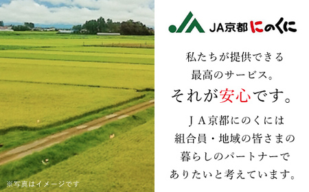 JA京都にのくに 特選玉露・煎茶 平箱セット (玉露100g・煎茶100g・各1袋 ) ふるさと納税 福知山市 特選玉露 煎茶 まろやか 豊かな香り お中元 お歳暮 【fc-CR005】【京都丹の国農業協同組合】