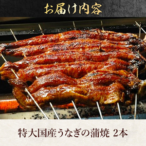 あびこ家 伝統のタレで焼くうなぎ蒲焼 2本セット　うなぎ 鰻 蒲焼 蒲焼き 国産 特大　AD06