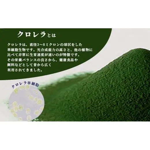 石垣島産ヤエヤマクロレラ粉末（1kg）AR-3