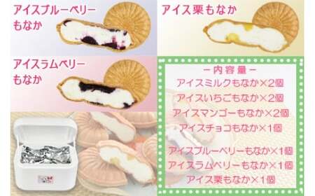 ＜アイスもなか 5種10個セット＞2か月以内に順次出荷【c592_sn_x3】 アイス 自家製 セット