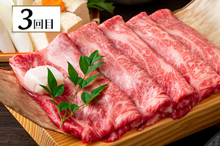 【定期便３回】熊本代表 お肉 【 くまもとあか牛・馬肉・くまもと黒毛和牛 】 お楽しみ 定期便 《 あか牛切り落とし約800g・馬肉バラエティ約540g・黒毛和牛すき焼き用400g 》 【 毎月届く 3ヶ月 黒毛和牛 牛肉 馬刺し ハンバーグ 熊本県 多良木町 定期配送 】 092-0010