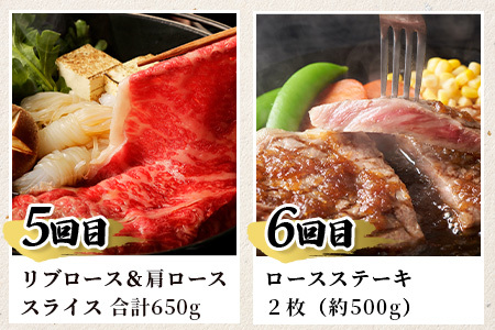 【定期便6回】佐賀牛 食べ比べ 定期便 6ヶ月 6ヵ月 焼肉 焼き肉 すきやき すき焼き しゃぶしゃぶ サイコロステーキ ステーキ L-39