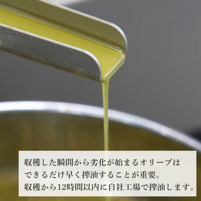 6本セット！「Virgin Valley 淡路阿利布」182ｇ（エキストラバージンオリーブオイル）【2025年度産】